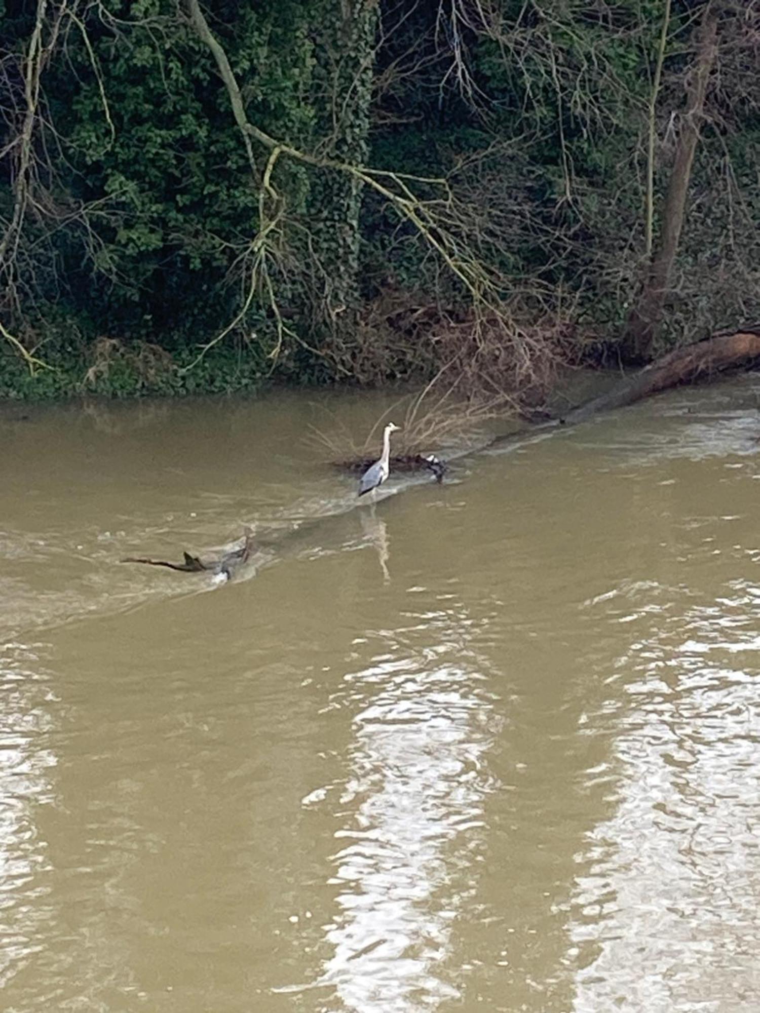 Ferienwohnung Villa Am Fluss Lauf an der Pegnitz Kültér fotó